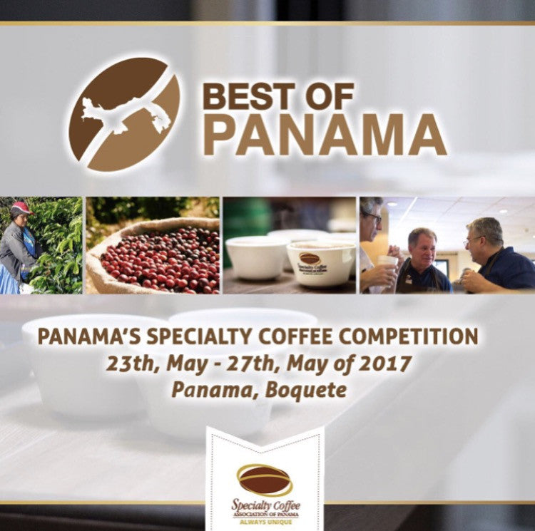 Best Of Panama 2017